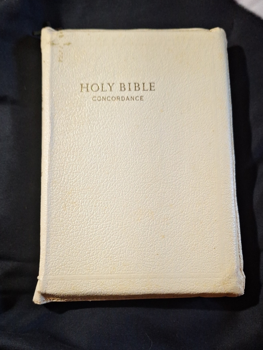Vintage Holy Bible Concordance in Leather Zip Case